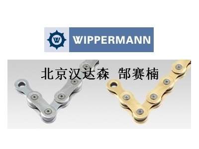 Wippermann滚子链Nr.：D 450，ISO Nr.：05 B-2