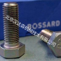 BOSSARD紧固件B3X6/BN20参数简介