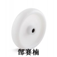 torwegge塑料轮PPBL-080-30-40-K08