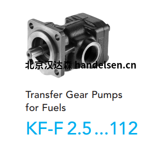 Kracht齿轮泵KF系列KF-F 40RF2-158-D15