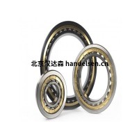 BIKON 1006 系列联轴器参数
