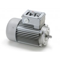 意大利Minimotor电动机涡轮蜗杆减速电机