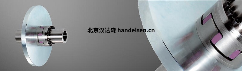 11ROTEX ® AFN-SB 带制动盘的特殊爪形联轴器