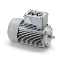 Mini Motor 齿轮电机 意大利进口