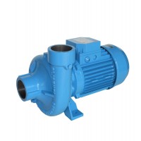 意大利 GMP PUMPS 自吸泵 B2XR 1,1 千瓦