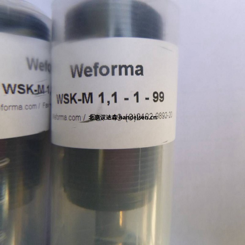 Weforma工业缓冲器旋转阻尼器