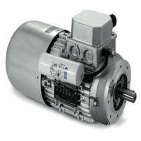 Neri Motori双速的电机特点和技术资料
