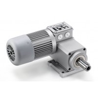 Mini Motor 齿轮电机产品型号介绍