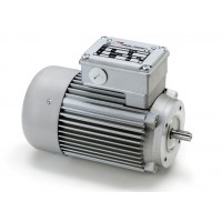 意大利Minimotor进口电动机涡轮蜗杆马达进口AC-100P 7.4 B3