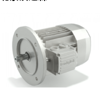 bonfiglioli螺旋平行轴减速电机 F系列参数简介