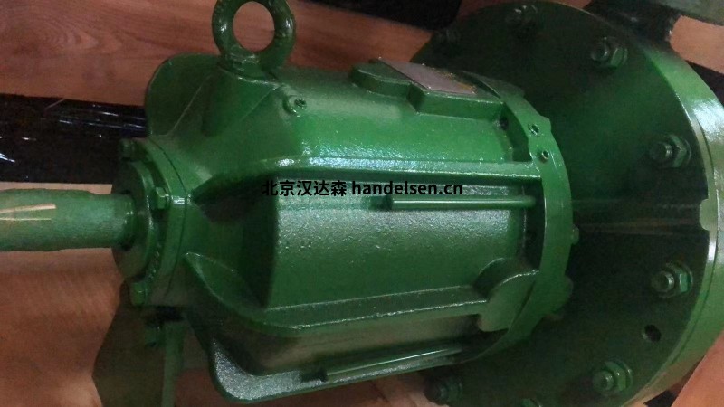 德国dickow pumpen泵NMBh 50日常维护方法