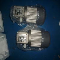 销售mini motor齿轮电机PCF