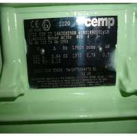 CEMP ICE危险区域电机