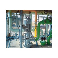 德国dickow pumpen泵 API 610