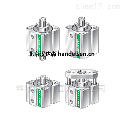 意大利VESTA带喷油端盖DSA12-104P气缸