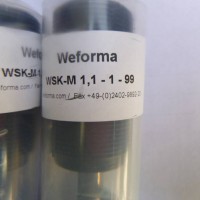 Weforma工业缓冲器WRD-H 4025C-VA