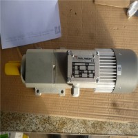 意大利 Mini Motor电机AC 110P2性能参数与用途