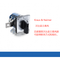 Kraus  Naimer开关C315.D-35W9