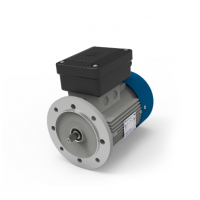 MTMotori DN系列电机是具有单极性的三相电机 功率0.12-17KW