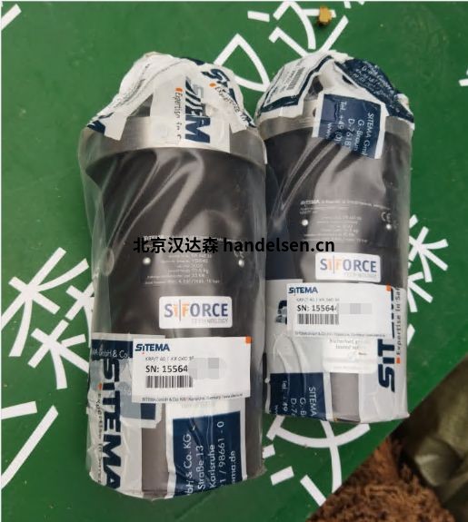 SITEMA安全制动器锁定装置 SITEMA安全制动器锁定装置