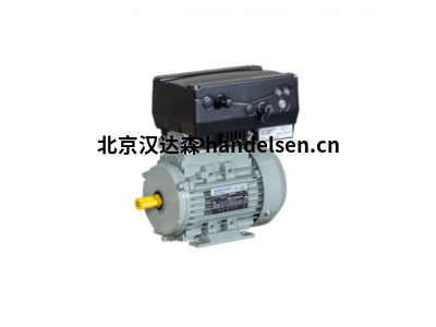 AC-Motoren IE2系列电机IE2AC06A2002附带变频器