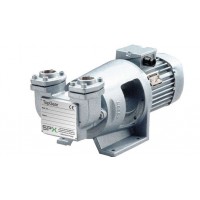 Johnson Pump内啮合齿轮泵TG L15-50可处理低粘度介质