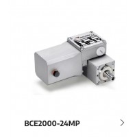 minimotor 24V直接电流 BCE2000-24MP齿轮蜗杆减速电机