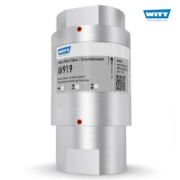 WITT 安全阀 SV 805-ES SMART技术特征简介
