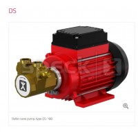 speck DS DS-MK尺寸小活塞泵滚柱叶片泵高压应用