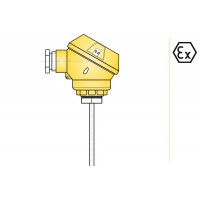 aplisens CTI4 CTI5润湿件材料304ss工艺连接M20x1.5温度计