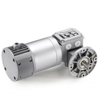 mini motor减速电机PCCE 24MP4N-95提供9 种减速比