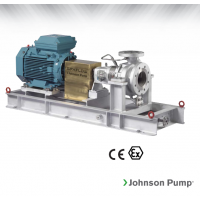 Johnson Pump 重型流程泵，适合化工、炼油厂和一般工业应用