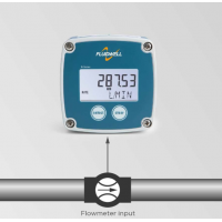 Fluidwell 生产各种类型的显示器，计量和控制设备，用于测量和监测