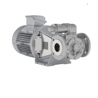 Johnson Pump 内啮合齿轮泵，适用于中等粘度、清洁和非磨蚀性液体