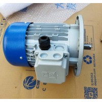 意大利MT Motori双速电机DN系列防护等级为IP55