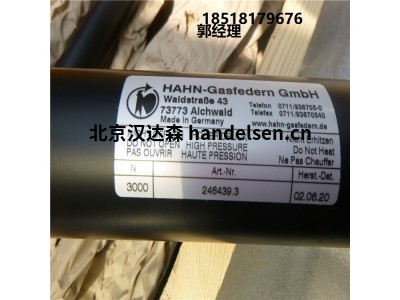 德国Hahn Gasfedern不锈钢拉伸弹簧G08-19ST-28995国内现货