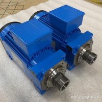 工业动力心脏：Himmel电机FZ.31-Z10全解析