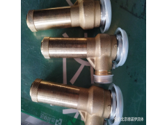Nuova General安全阀G25/L耐腐蚀性介质