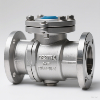 GESTRA RK86DN40PN40 止回阀：蒸汽与工业流体系统的坚固守护者