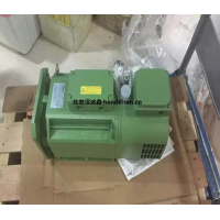 意大利 OEMER 电机 HQL132L：钢铁与起重运输领域的强劲动力之选