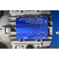 意大利M.T. Motori 电机TFP71B交流电运行 带有双制动面盘