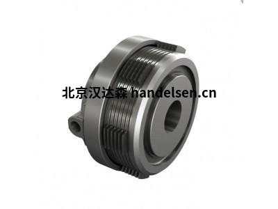 意大利 Transfluid RBD 6S 联轴器 柔性减震适用于工业传动
