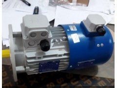 意大利 M.T. Motori TN 系列三相标准电机F 级绕组合规IP55 防护