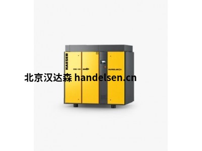 德国Kaeser干式螺杆压缩机CSG 125 A风冷式高效节能