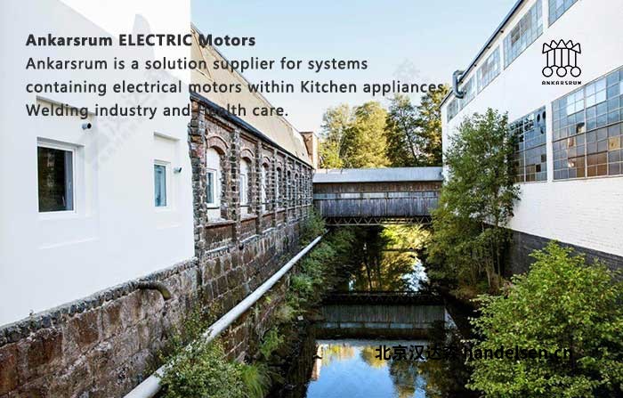 Ankarsrum ELECTRIC Motors