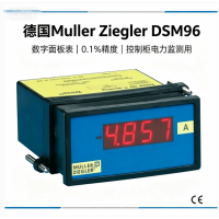 德国Muller Ziegler DSM96数字面板表 0.1%精度 控制柜电力监测用