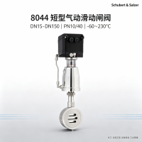 德国Schubert & Salzer 8044短型滑动闸阀 DN50 PN40  化工设备用