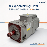 意大利OEMER奥默 HQL 132L 变频电机 50kW 2600rpm 塑料挤出机用
